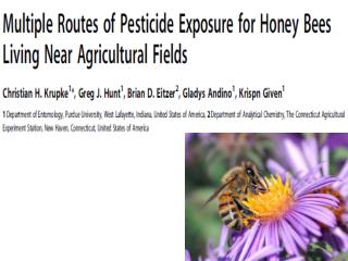 Some Crops pollinated by Bees