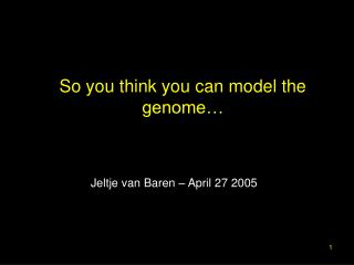 So you think you can model the genome…