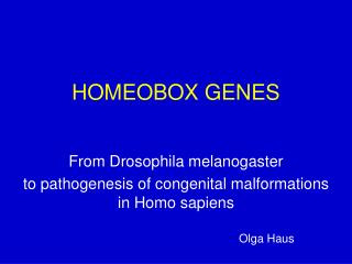 HOMEOBOX GENES
