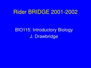 Rider BRIDGE 2001-2002