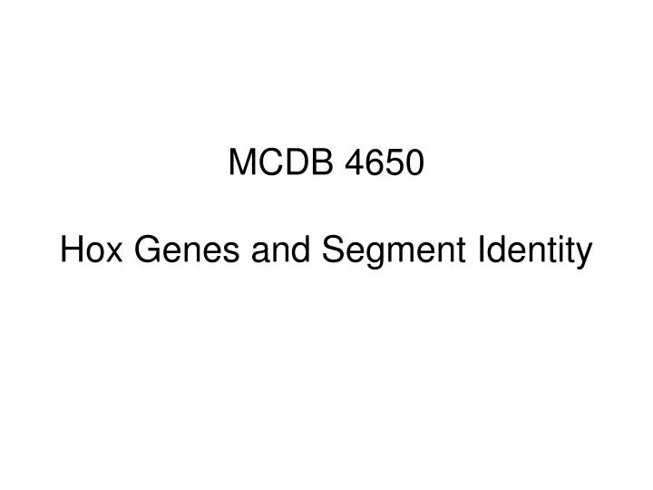 mcdb 4650 hox genes and segment identity