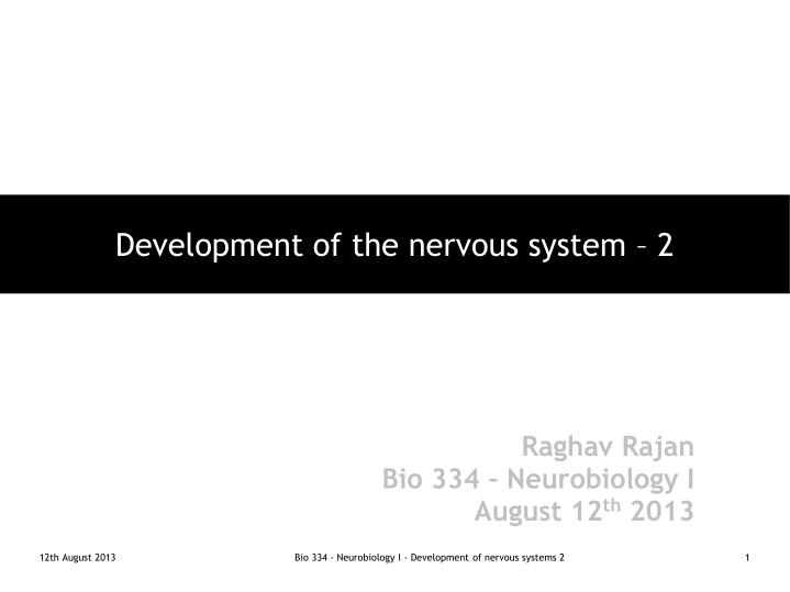 development of the nervous system 2