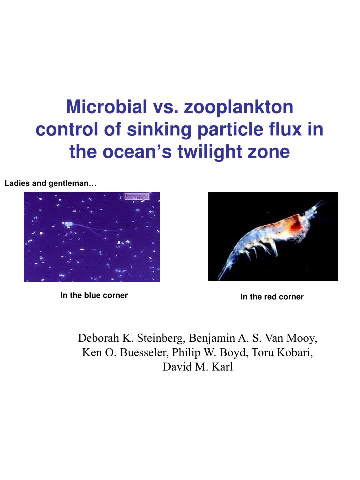 microbial vs zooplankton control of sinking particle flux in the ocean s twilight zone