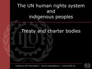 The UN human rights system and indigenous peoples