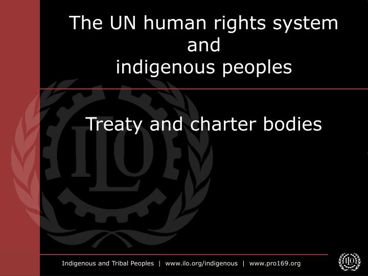 the un human rights system and indigenous peoples