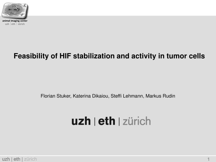 feasibility of hif stabilization and activity in tumor cells