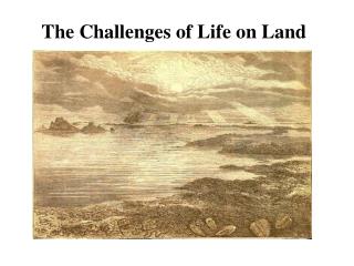 The Challenges of Life on Land
