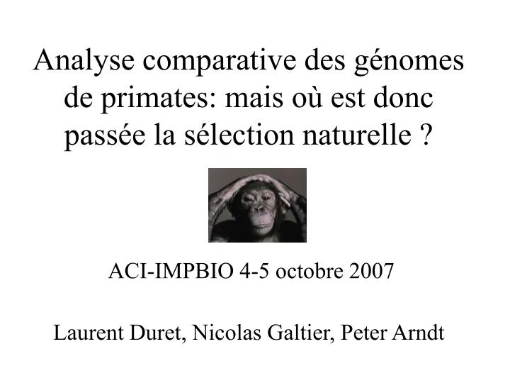 analyse comparative des g nomes de primates mais o est donc pass e la s lection naturelle