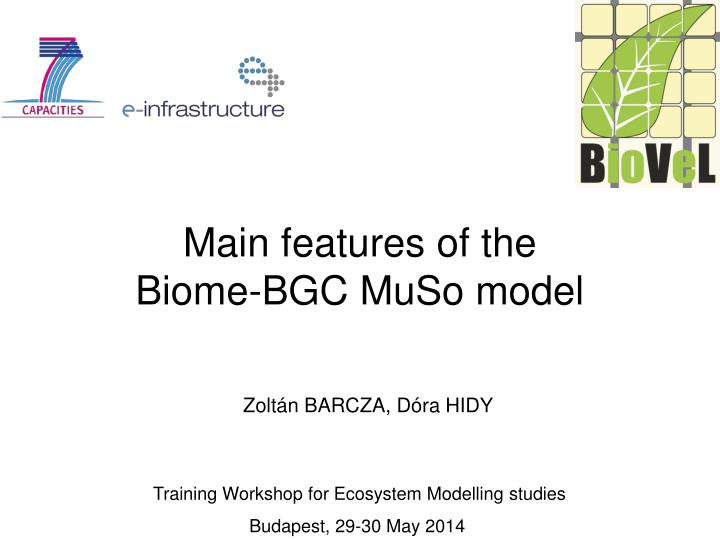 main features of the biome bgc muso model