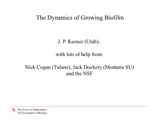 The Dynamics of Growing Biofilm
