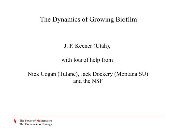 the dynamics of growing biofilm