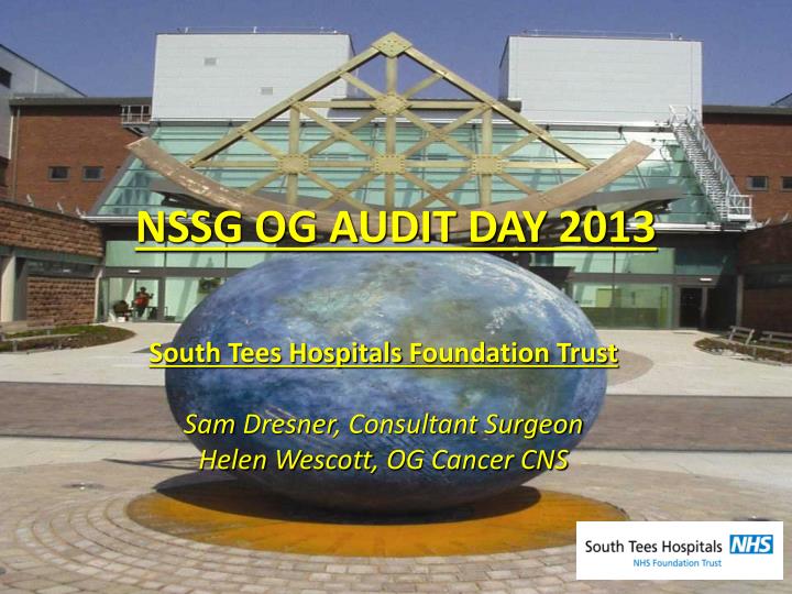 nssg og audit day 2013