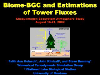 Biome-BGC and Estimations of Tower Fluxes