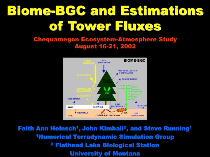 biome bgc and estimations of tower fluxes
