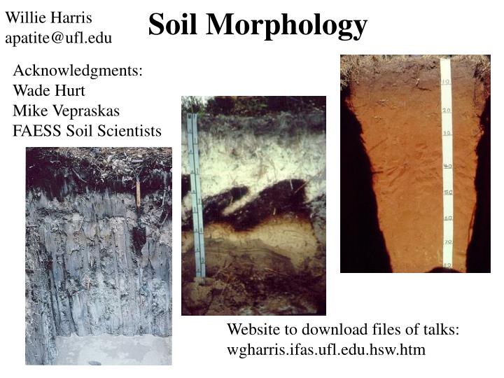 soil morphology