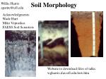 Soil Morphology - slide 1