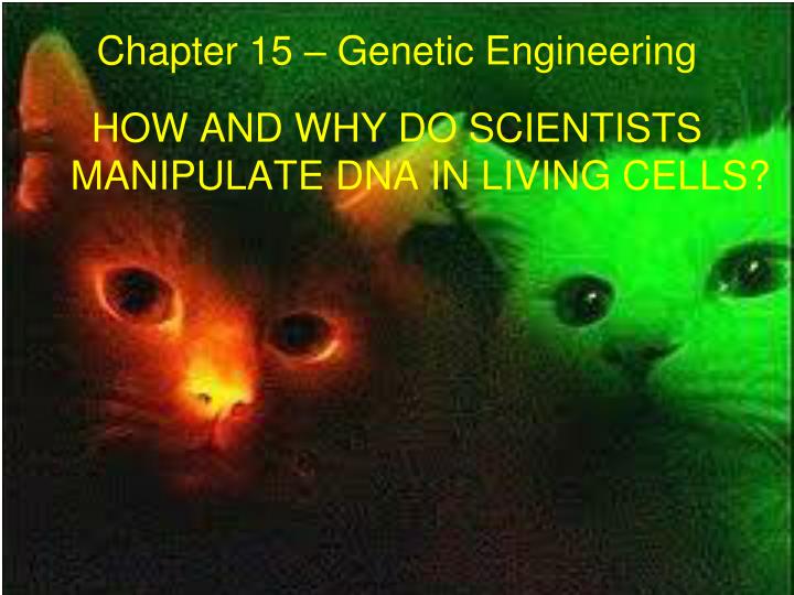 chapter 15 genetic engineering