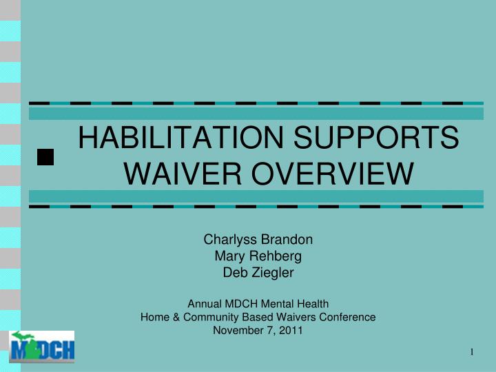 habilitation supports waiver overview