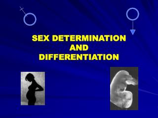 SEX DETERMINATION AND DIFFERENTIATION