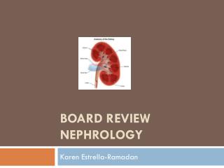 Board Review nephrology