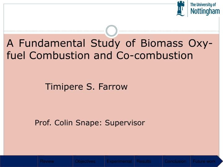 a fundamental study of biomass oxy fuel combustion and co combustion