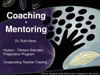 Coaching &amp; Mentoring