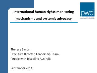 International human rights monitoring mechanisms and systemic advocacy