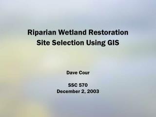 Riparian Wetland Restoration Site Selection Using GIS