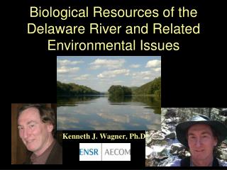 Biological Resources of the Delaware River and Related Environmental Issues