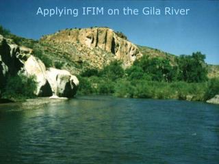 Applying IFIM on the Gila River