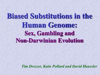 Biased Substitutions in the Human Genome: Sex, Gambling and Non-Darwinian Evolution