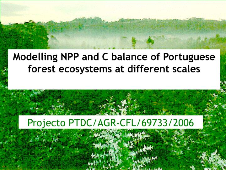 modela o da ppl e do balan o de c dos ecossistemas florestais portugueses a diferentes escalas