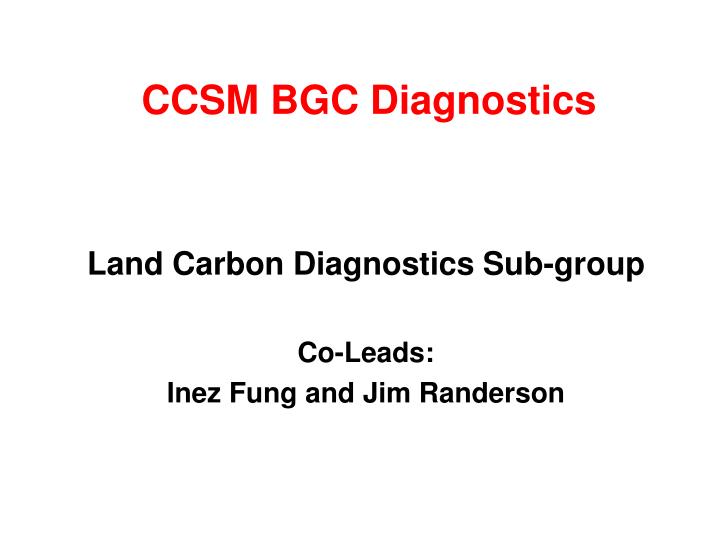 ccsm bgc diagnostics