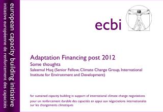 Adaptation Financing post 2012 Some thoughts