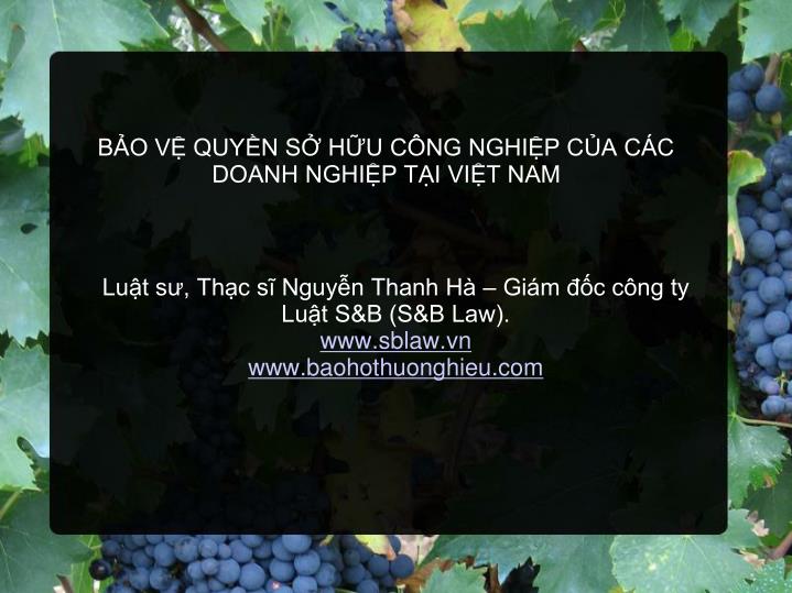 lu t s th c s nguy n thanh h gi m c c ng ty lu t s b s b law www sblaw vn www baohothuonghieu com