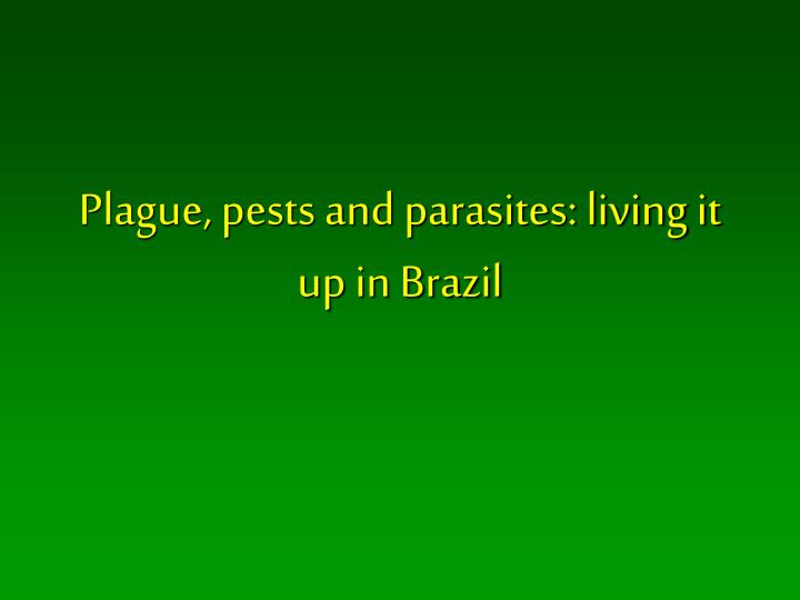 plague pests and parasites living it up in brazil