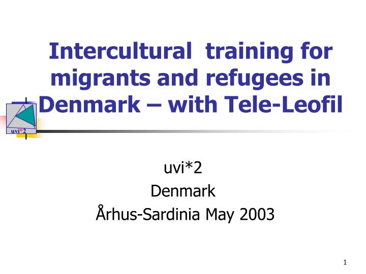 intercultural training for migrants and refugees in denmark with tele leofil