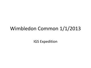Wimbledon Common 1/1/2013