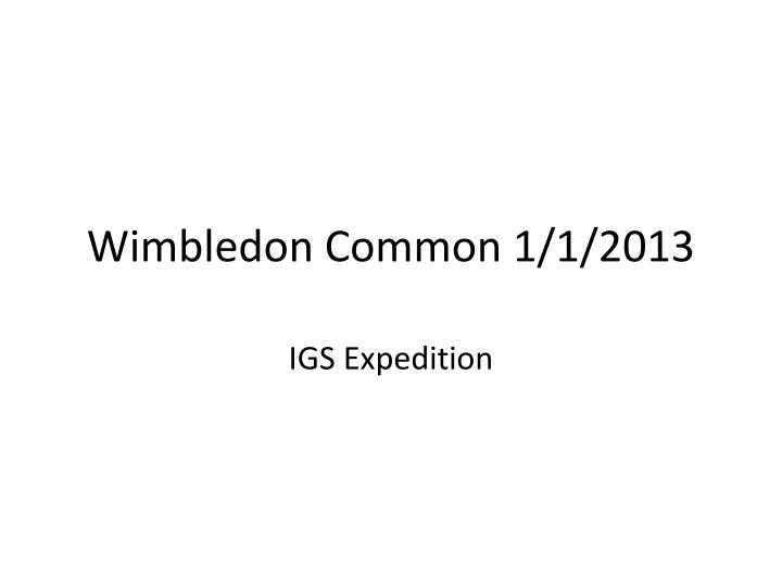 wimbledon common 1 1 2013