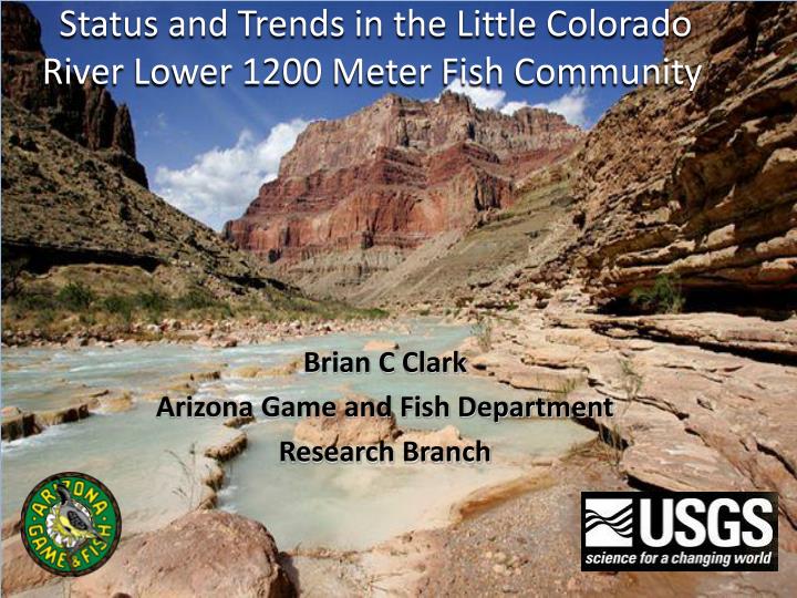 status and trends in the little colorado river lower 1200 meter fish community
