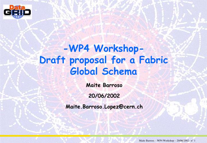 wp4 workshop draft proposal for a fabric global schema
