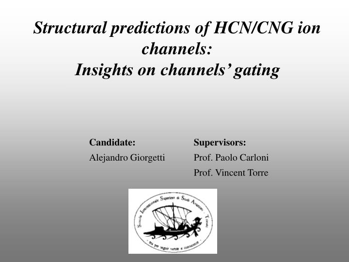 structural predictions of hcn cng ion channels insights on channels gating