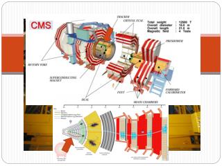 Environmental Monitoring of CMS Tracker Volume