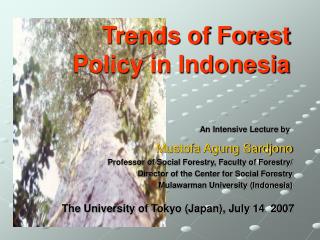 Trends of Forest Policy in Indonesia