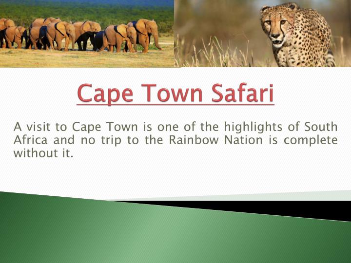 cape town safari