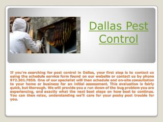 Dallas Termite Treatment