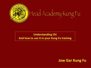 Understanding Chi And how to use it in your Kung Fu training