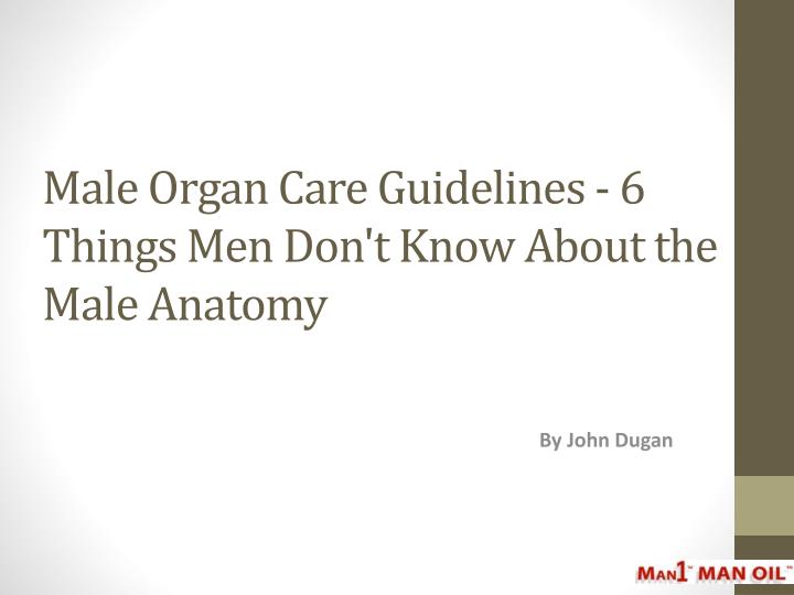 male organ care guidelines 6 things men don t know about the male anatomy