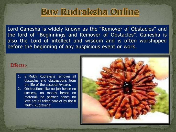 buy rudraksha online
