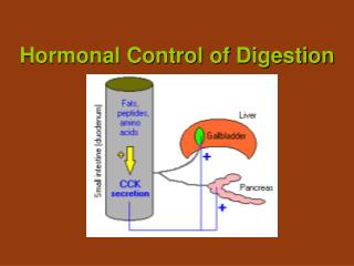 Hormonal Control of Digestion